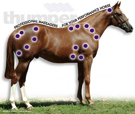 Massage points on your horse